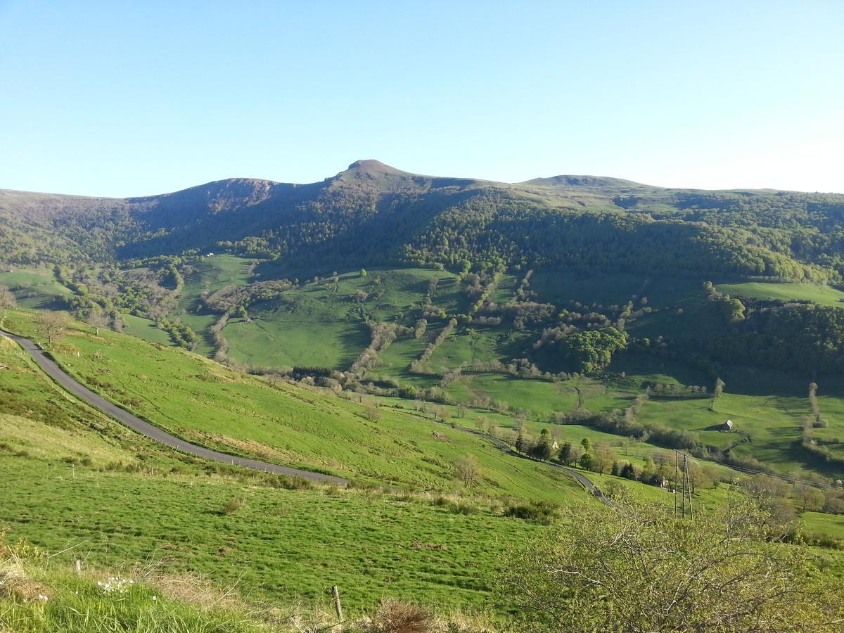 Auberge Du Col De Neronne Le Falgoux Exterior foto